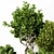 Modern Green Indoor Plant: Vol. 22 3D model small image 4