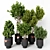 Modern Green Indoor Plant: Vol. 22 3D model small image 7