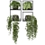 Rustic Concrete Pot Indoor Plants - Set 138 3D model small image 4