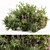 Green & Purple Mixed Plant Bush - Set of 50 3D model small image 1