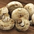 Crimini Mushroom - Photorealistic 3D Model 3D model small image 5