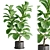 Botanical Bliss: Indoor Plant Set 3D model small image 1