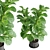 Botanical Bliss: Indoor Plant Set 3D model small image 5