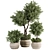 Stylish Indoor Plant Set 05 3D model small image 1