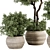 Stylish Indoor Plant Set 05 3D model small image 3