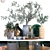 EcoGreen Decor Set 3D model small image 1