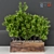 Green Paradise: Indoor Plant Vol 24 3D model small image 4