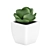 Small White Pot Plant: 2015 Version 3D model small image 1