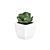 Small White Pot Plant: 2015 Version 3D model small image 3