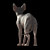 Elegant Sphynx Cat Sculpture 3D model small image 3