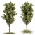Tree Green Broadleaf Set 60 3D model small image 1