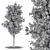 Tree Green Broadleaf Set 60 3D model small image 4