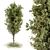 Lush Greenery Set - 60 Pieces 3D model small image 2