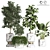 Premium Plant Collection 08 3D model small image 1