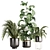 Green Oasis Indoor Plant Set 3D model small image 1