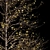 Winter Wonderland Tree - Realistic Acer Buergerianum Beauty 3D model small image 2