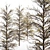 Winter Wonderland Tree - Realistic Acer Buergerianum Beauty 3D model small image 3