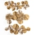 Eco Wall Decor: Bouquet of Dried Flowers 3D model small image 4