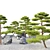 Black Pine Duo: 3m Height 3D model small image 2