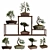 Pristine Bonsai Set: 4 Tree Types 3D model small image 1