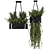 Indoor Hanging Plants Set in Metal Box 3D model small image 2