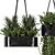 Indoor Hanging Plants Set in Metal Box 3D model small image 4