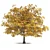 Golden Autumn Maple 3D model small image 1