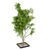 Bountiful Outdoor Plant Collection 3D model small image 6