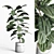 Ficus Rubbery Concrete Pot - 3Dmax Vray & Corona 3D model small image 1