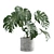 Tropical Charm: Monstera Deliciosa 3D model small image 3