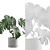 Tropical Charm: Monstera Deliciosa 3D model small image 6