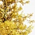 Fall Foliage Tree Collection: Buergerianum, Saccharinum, Biloba 3D model small image 2