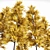 Fall Foliage Tree Collection: Buergerianum, Saccharinum, Biloba 3D model small image 5