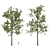 Tall Pine Trees Vol 19 Collection 3D model small image 4