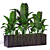 Tropical Banana Plant in Flower Pot 3D model small image 2