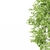 Polys: 1,011,193 - Towering 15m Beech Tree 3D model small image 4