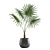 Exotic Indoor Plants Collection 3D model small image 4