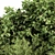 Exotic Bush Collection: Tropical & Box Tree - Set 52 3D model small image 2