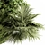 Exotic Bush Collection: Tropical & Box Tree - Set 52 3D model small image 3