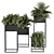 326 Indoor Plant Set - Black Box 3D model small image 1