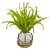 Stylish Indoor Plant - 2016 3D model small image 1