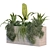 Exquisite Plant Box Set 230 3D model small image 2