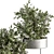 Modern Silver Box Indoor Plant Set 3D model small image 2