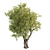 3D Tree Model - 2013 Version 3D model small image 4