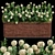 Outdoor Plant Set 001 - Premium Plant Box 3D model small image 1