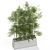 Lush Greenery: Plants Collection 615 3D model small image 4