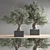 28-Piece Indoor Bonsai Plant Set 3D model small image 1