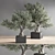 28-Piece Indoor Bonsai Plant Set 3D model small image 2