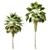 Elegant Trio of Chinese Palms 3D model small image 2
