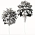 Elegant Trio of Chinese Palms 3D model small image 4
